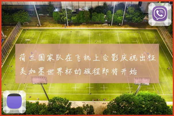 荷兰国家队在飞机上合影庆祝出征美加墨世界杯的旅程即将开始